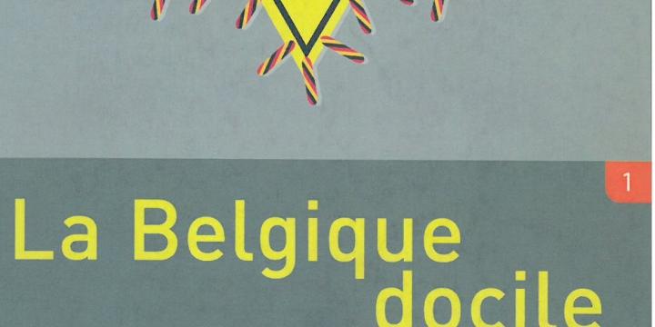 La Belgique docile. Les autorités belges et la persécution des Juifs en Belgique durant la Seconde Guerre mondiale.